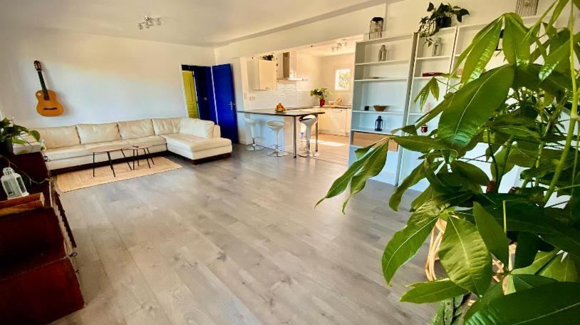 Sewa Surf House 10Min De Capbreton Hossegor Ξενοδοχείο Bénesse-Maremne Εξωτερικό φωτογραφία